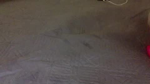 Snapshot of lipinhofortal853516 chatting on 10, 11, 2025 lipinhofortal853516 online show from 10, 11, 2025