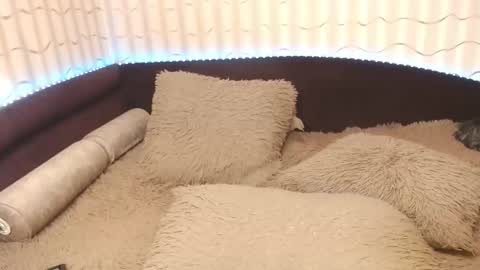 Snapshot of lipsaddiction chatting on 20, 10, 2025 LIpsAddiction online show from 20, 10, 2025