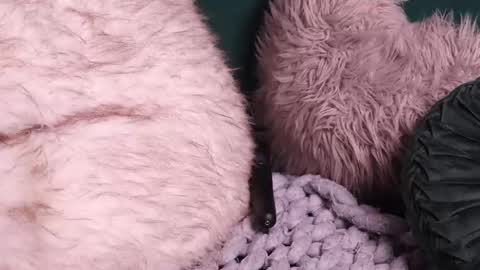 Lire online show from 2, 10, 2025