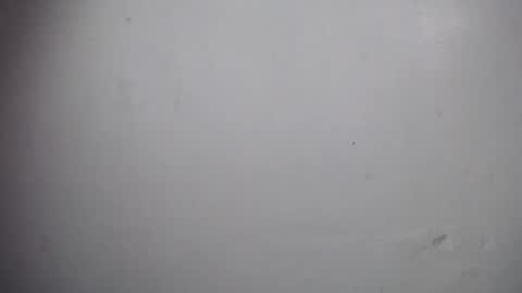 lisa_branch online show from 19, 12, 2025