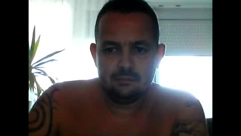 litlemonkey online show from 3, 7, 2026