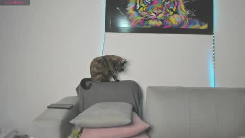 Independent model carolina online show from 11, 3, 2025