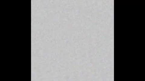 Adaline online show from 17, 2, 2025