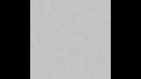 Adaline online show from 9, 11, 2025