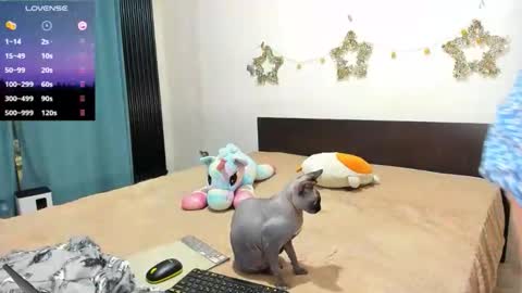 Kat online show from 21, 2, 2026