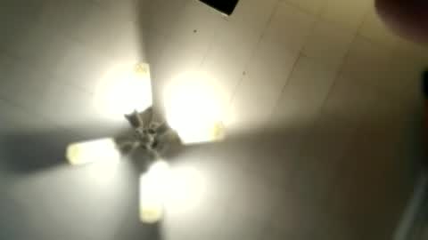 littlelonelylenny online show from 6, 3, 2026