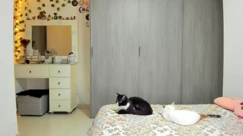 Luna online show from 29, 3, 2026