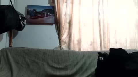 Kruger and girls online show from 20, 2, 2026