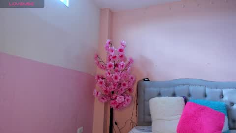 tammy online show from 30, 11, 2025