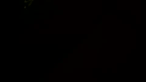 Little Tj online show from 17, 1, 2026