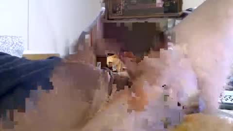 lixxxalot online show from 4, 6, 2026