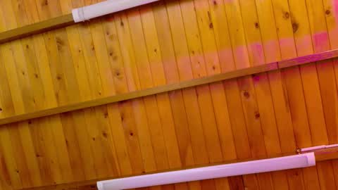  LIZBETH ROSS  online show from 12, 1, 2026