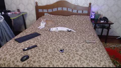 Sevy online show from 30, 12, 2024