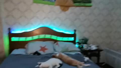 Sevy online show from 8, 1, 2025