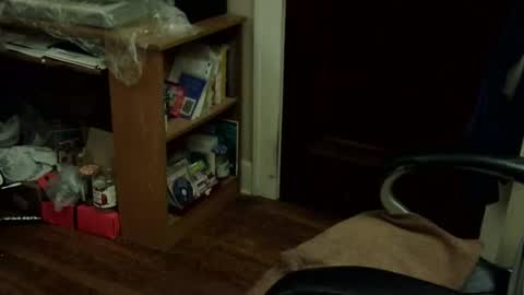 loades182025 online show from 12, 11, 2025