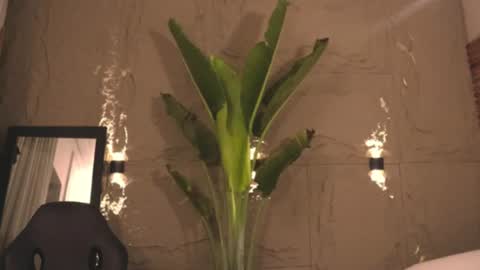 logan_varela online show from 1, 3, 2025