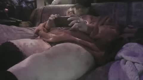 Sean online show from 9, 4, 2026