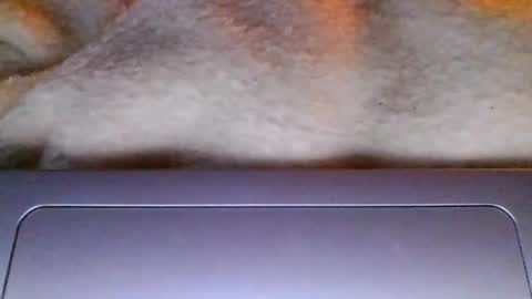 lolalovergirl333 online show from 17, 4, 2026