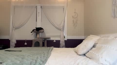 Lola 3 online show from 17, 12, 2024