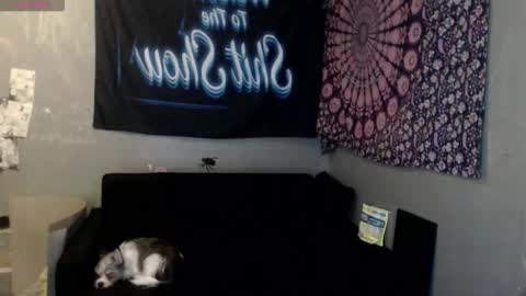 londonray online show from 8, 10, 2025