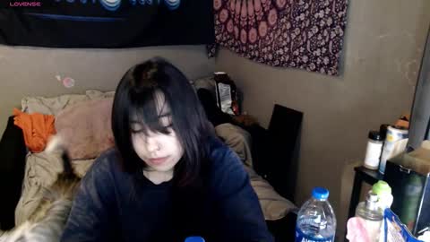 londonray online show from 29, 11, 2025