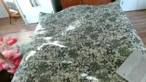 Jeff online show from 30, 1, 2025