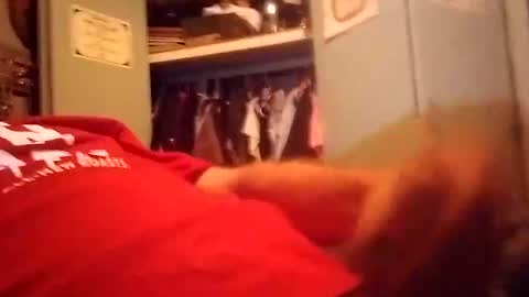 Snapshot of longdongsilverj chatting on 8, 1, 2025 longdongsilverj online show from 8, 1, 2025