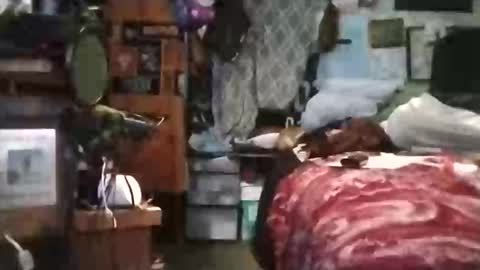 Mr. FogoDeChao online show from 6, 3, 2026