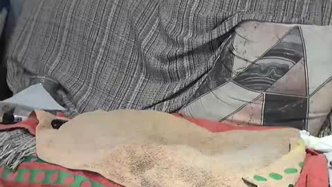 Alejandro Rulitos Twitter longnight55 Intagram 5longnight5 online show from 24, 2, 2025