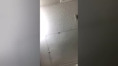 Dominate bbc online show from 4, 3, 2026