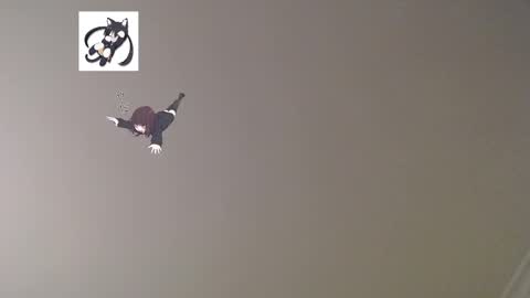 Snapshot of lostcausenef chatting on 2, 3, 2025 nefisa nef online show from 2, 3, 2025