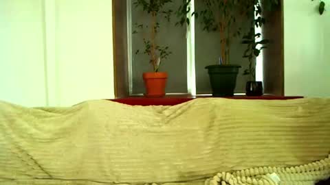 Snapshot of love_attation chatting on 28, 2, 2025 Cute face online show from 28, 2, 2025