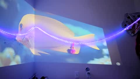 lovecandycunt143 online show from 25, 9, 2025