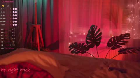 Nelly online show from 21, 2, 2025