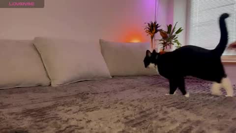 Elsa online show from 23, 10, 2025