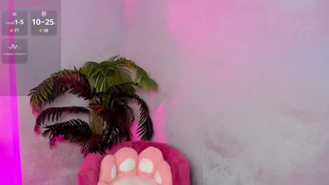 Lolly online show from 21, 1, 2025