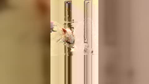 loverboi14209 online show from 23, 2, 2026