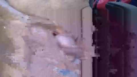 Lovesblackazz online show from 9, 3, 2026