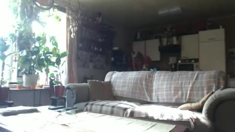 aaron online show from 18, 10, 2025