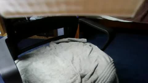 lovetolick272988 online show from 21, 10, 2025