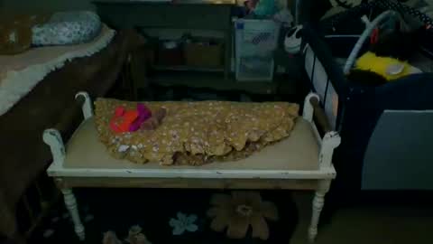 Snapshot of lovetubes101 chatting on 19, 9, 2025 lovetubes101 online show from 19, 9, 2025