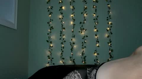 Summer online show from 6, 11, 2025