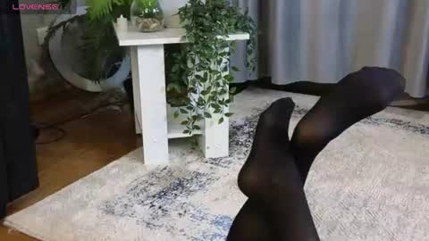 Snapshot of lowkeywild_ chatting on 12, 6, 2026 lowkeywild_ online show from 12, 6, 2026