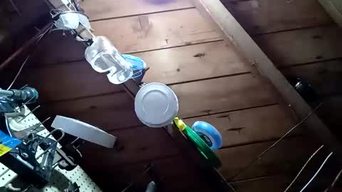 lowtidehightide online show from 25, 11, 2025