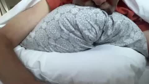 Snapshot of lqi chatting on 16, 9, 2025 lqi online show from 16, 9, 2025