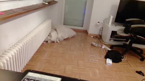 lu25humiliation online show from 10, 1, 2025