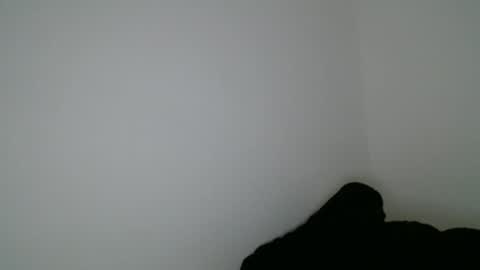 luana online show from 15, 1, 2026