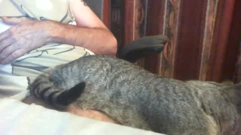 Snapshot of lucb1 chatting on 1, 8, 2026 Luc online show from 1, 8, 2026