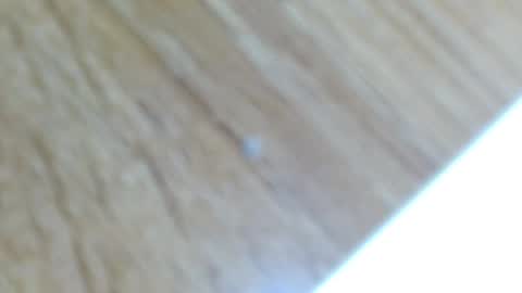 Snapshot of lucie_nicolls chatting on 13, 12, 2024 Lucie online show from 13, 12, 2024