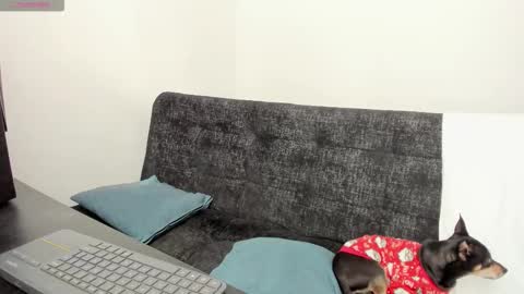 Snapshot of lucii_30 chatting on 4, 12, 2025 luci online show from 4, 12, 2025